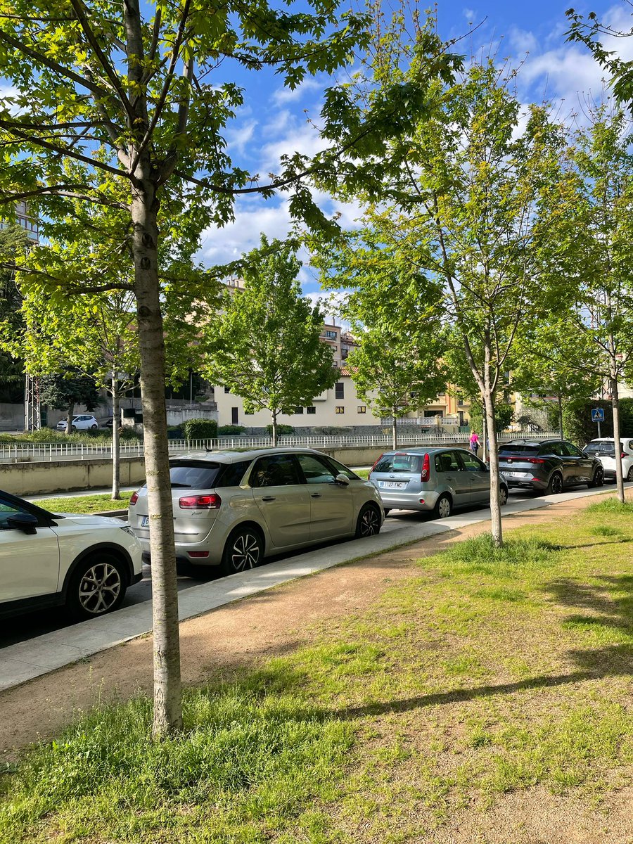 Solucions Geogràfiques SCCL tweet media