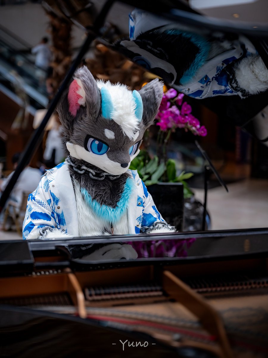 HF收到的最快的一张返图！
超好看！返图の神！

📷：丶佑诺乄 
#FursuitFriday