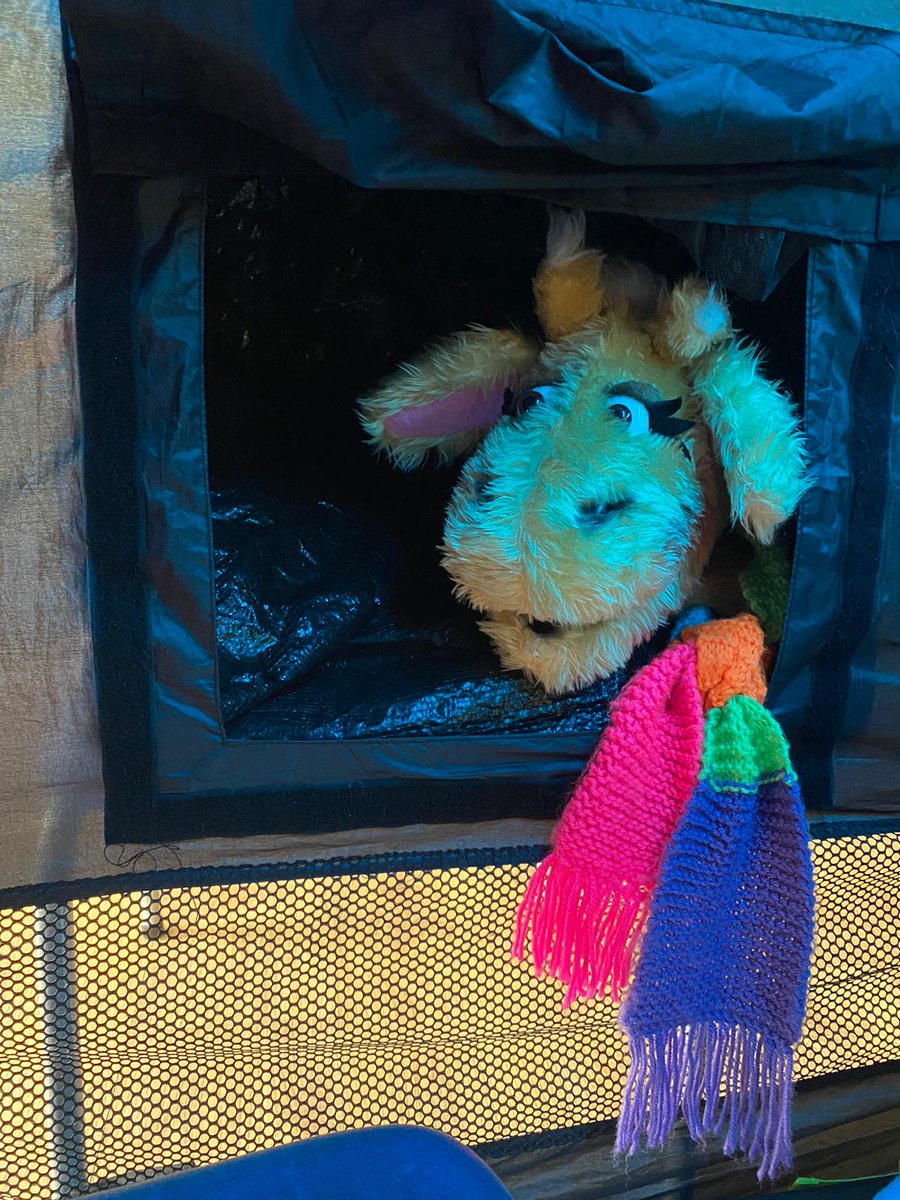 Life Education East Midlands (@lifeedeastmid) on Twitter photo Harold the giraffe has had a marvellous time at <a href="/CastleAcad/">Castle Academy</a> visiting and working with the children this week in the Life Space! Harold loved meeting you all and we look forward to coming back very soon! 🦒 #SCARF #PSHE #Haroldthegiraffe #Wellbeing Harold the giraffe has had a marvellous time at <a href="/CastleAcad/">Castle Academy</a> visiting and working with the children this week in the Life Space! Harold loved meeting you all and we look forward to coming back very soon! 🦒 #SCARF #PSHE #Haroldthegiraffe #Wellbeing