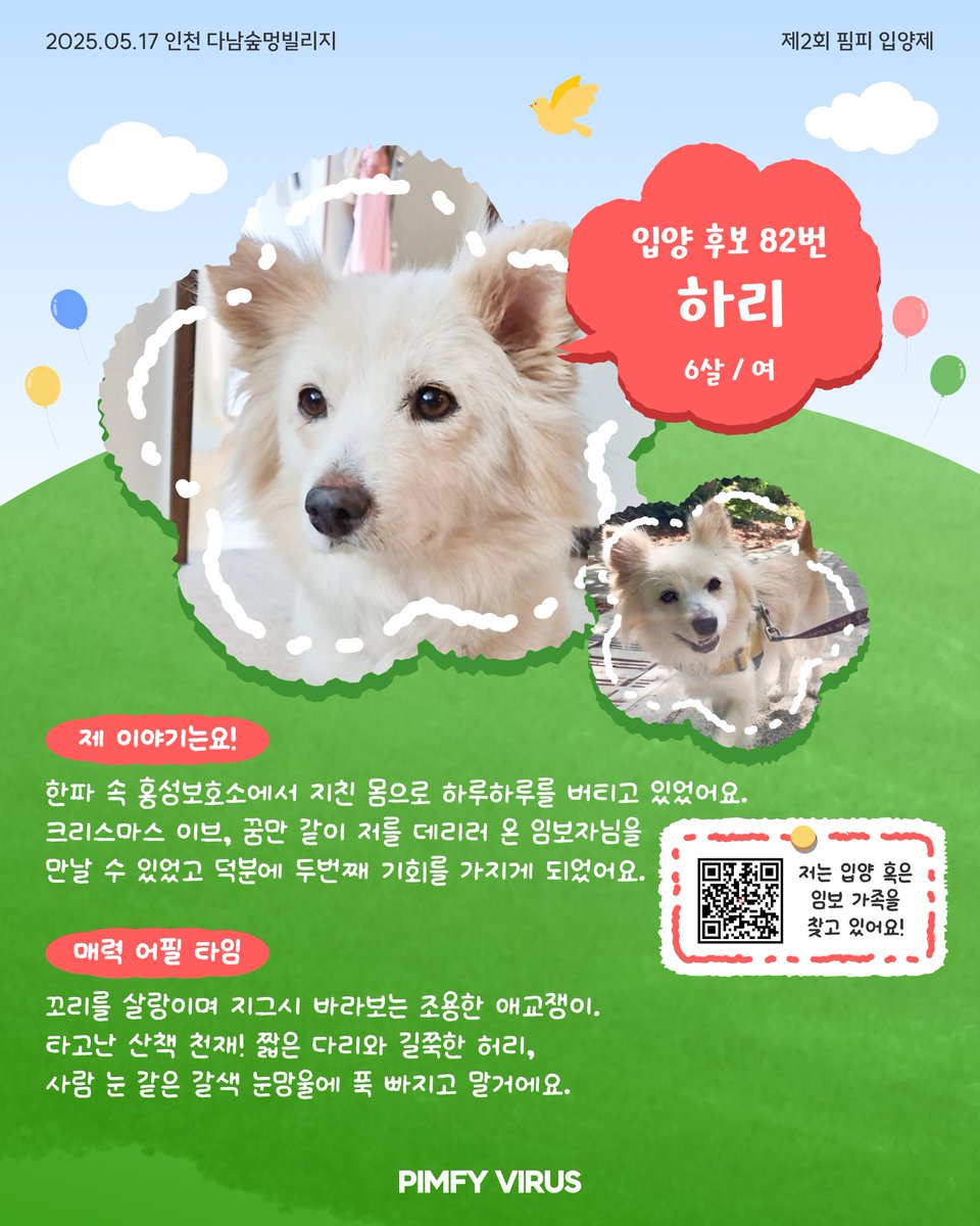 핌피바이러스 입양제에 하리도 참가합니다! 5월 17일 다남숲멍빌리지에서 만나요! 자세한 내용은 instagram.com/pimfyvirus 에서 :)