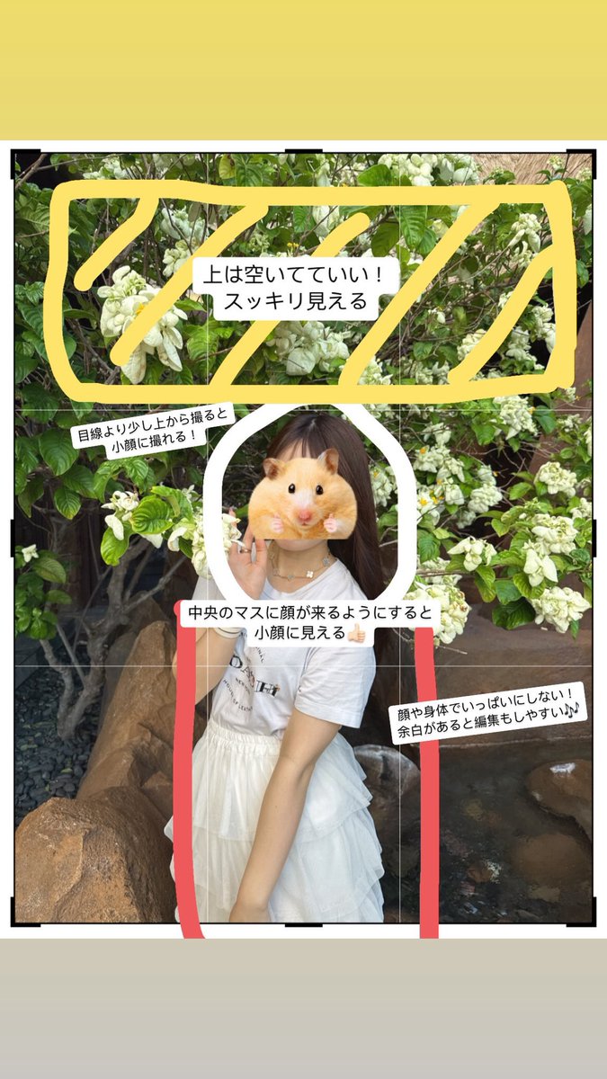 miri_vca_'s tweet photo. これ！！！！Rちゃんの動画まさに！！
1枚目の画角が1番大事！！！！！！！ https://t.co/bDdIusKOlf