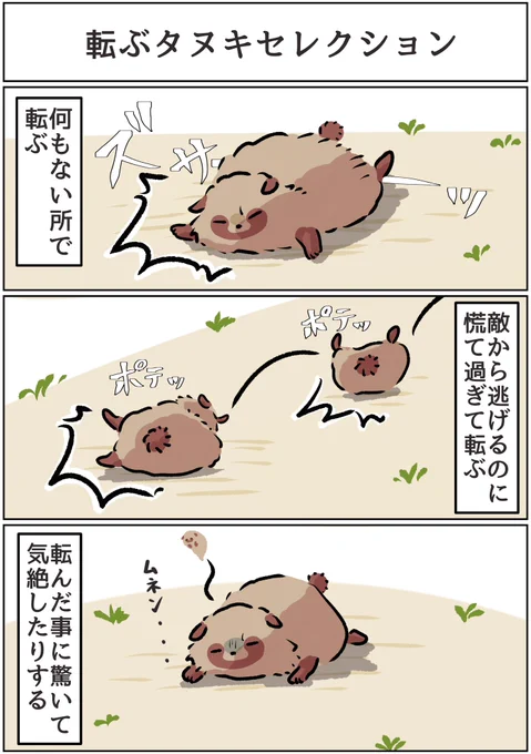 タヌキ兄弟漫画
よく転ぶ弟

 #漫画が読めるハッシュタグ #たぬき 