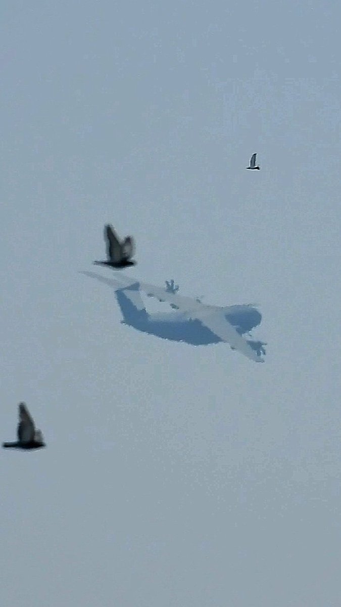LebanonJets's tweet photo. #Spain AirForce A400M in the region for a few days arrived from Adana Incirlik AirBase into Beirut & video of departure onwards to Zaragoza #T23-06 hex #3532C4 as #AME3156 ~700 Spanish troops in #Lebanon for #UNIFIL https://t.co/f61mzC4Hmo