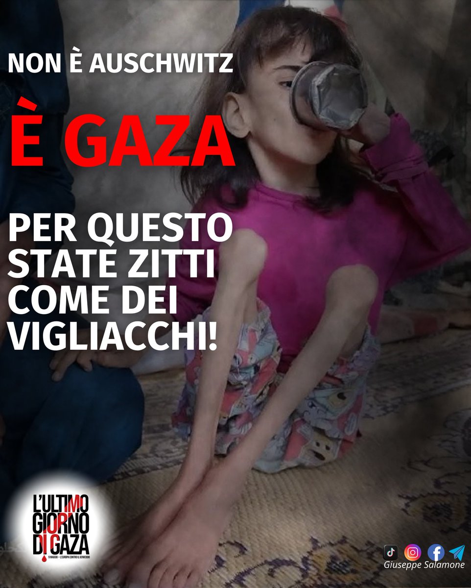 Oggi è la giornata dell'Europa. Ci stanno raccontando che è l'occasione per celebrare il cammino che ha portato la pace, la stabilità e la prosperità nell'UE. La stessa Ue che sta permettendo tutto questo. Una sola cosa: vigliacchi!
#gazalastday
#ultimogiornodigaza