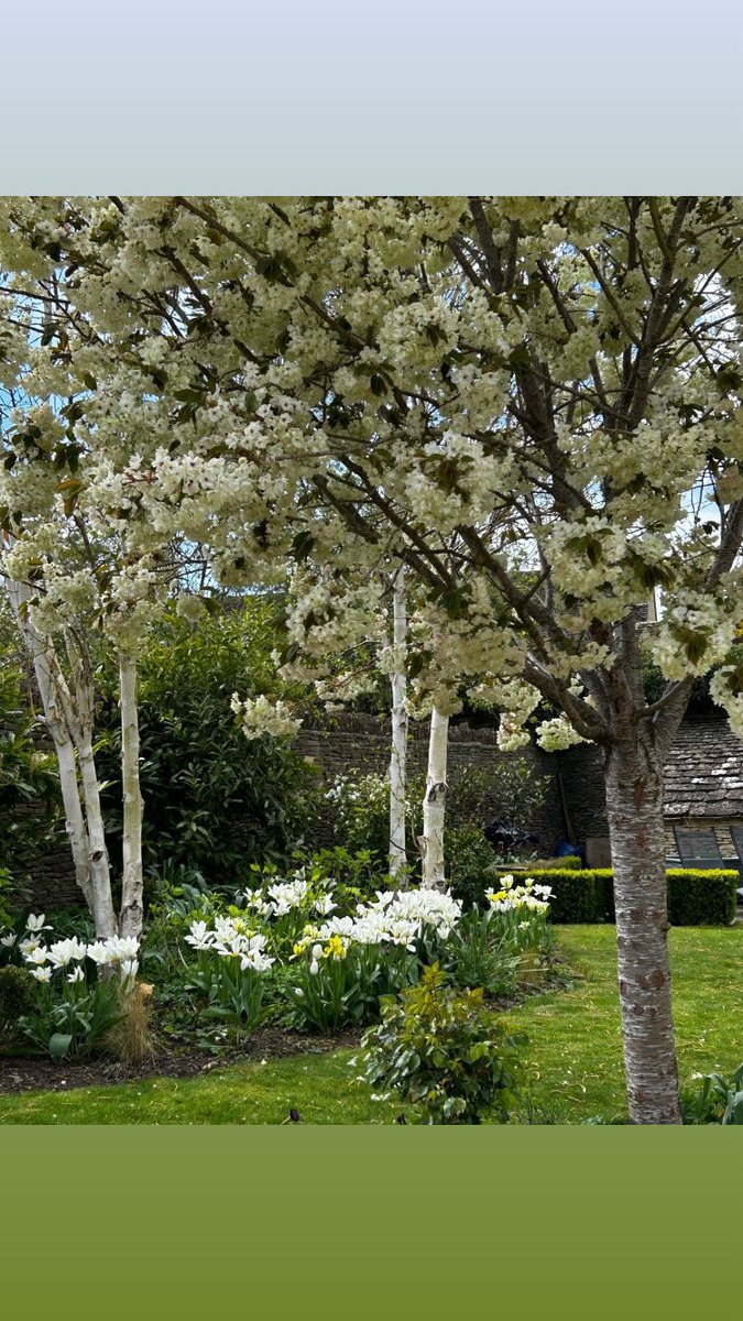This weeks guests from Canada have just left and they left a long lovely message including ‘we enjoyed our stay immensely. The grounds of the cottage are a feast for the eyes and soul’.  If you are looking for a tranquil holiday cottage with a marvellous garden book now.