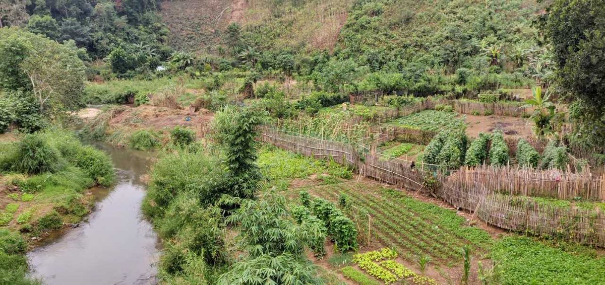 ASD_INRAE's tweet image. Blundo-Canto, G., Kangogo, D., Castella, JC. et al. Assessing the multidimensional impacts of agroecological practices in Southeast Asia. A review. Agron. Sustain. Dev. 45, 24 (2025).
doi.org/10.1007/s13593…
#FarmingSystems #SustainableIntensification #AgroecologyPrinciples