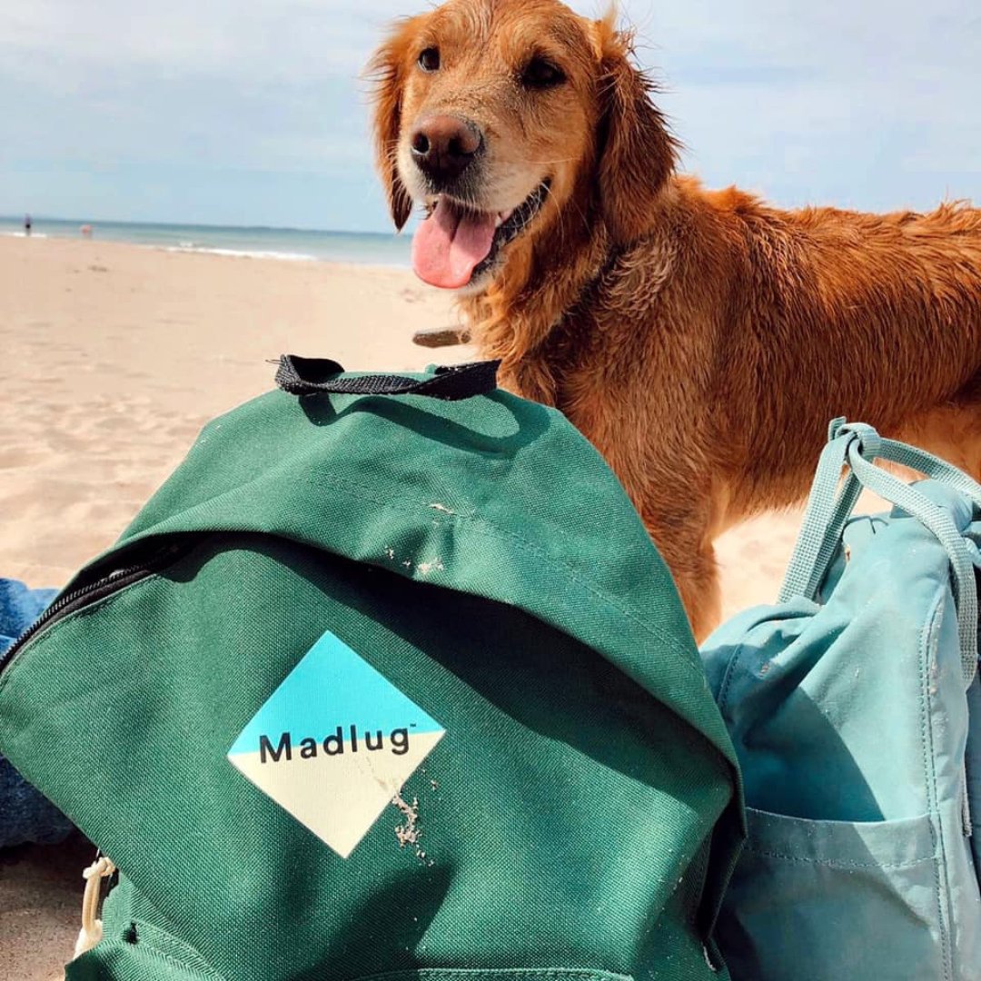 Beach days are better with backpacks!

Whether it’s sandy paws or summer adventures, your Madlug is built to go wherever life takes you, and every purchase helps a child in care move with dignity.

Because no child should carry their life in a bin bag. madlug.com