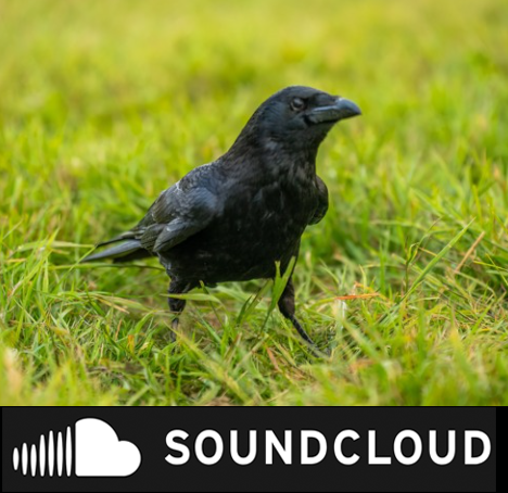 University of Sussex (@sussexuni) on Twitter photo Last night our Festival of Ideas: Nature Unseen event explored Wakehurstโs wild garden through sound & touch.
๐ง Listen to the soundscape: ow.ly/O40S50VPbkQ
Part of @Brightfest & led by Dr <a href="/karisjpetty/">Karis Jade Petty</a>
<a href="/ESVSEastSussex/">East Sussex Vision Support</a> <a href="/BlatchingtonBCT/">BCT</a> @fabricagallery @SussexUniMah Last night our Festival of Ideas: Nature Unseen event explored Wakehurstโs wild garden through sound & touch.
๐ง Listen to the soundscape: ow.ly/O40S50VPbkQ
Part of @Brightfest & led by Dr <a href="/karisjpetty/">Karis Jade Petty</a>
<a href="/ESVSEastSussex/">East Sussex Vision Support</a> <a href="/BlatchingtonBCT/">BCT</a> @fabricagallery @SussexUniMah