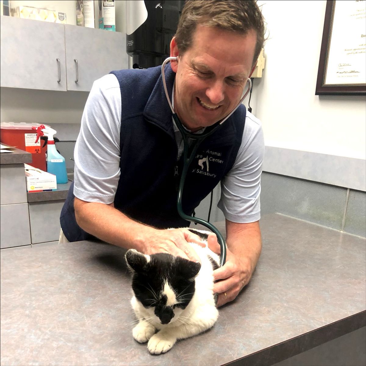 🐈‍⬛ Mookie has officially passed her yearly check-up and is in purr-fect health! Huge thanks to Dr. Tim Steinman and the amazing crew at the Animal Care Center of Salisbury for keeping her in tip-top shape.💯 

#NCTransportationMuseum #Mookie #AnimalCareCenterOfSalisbury