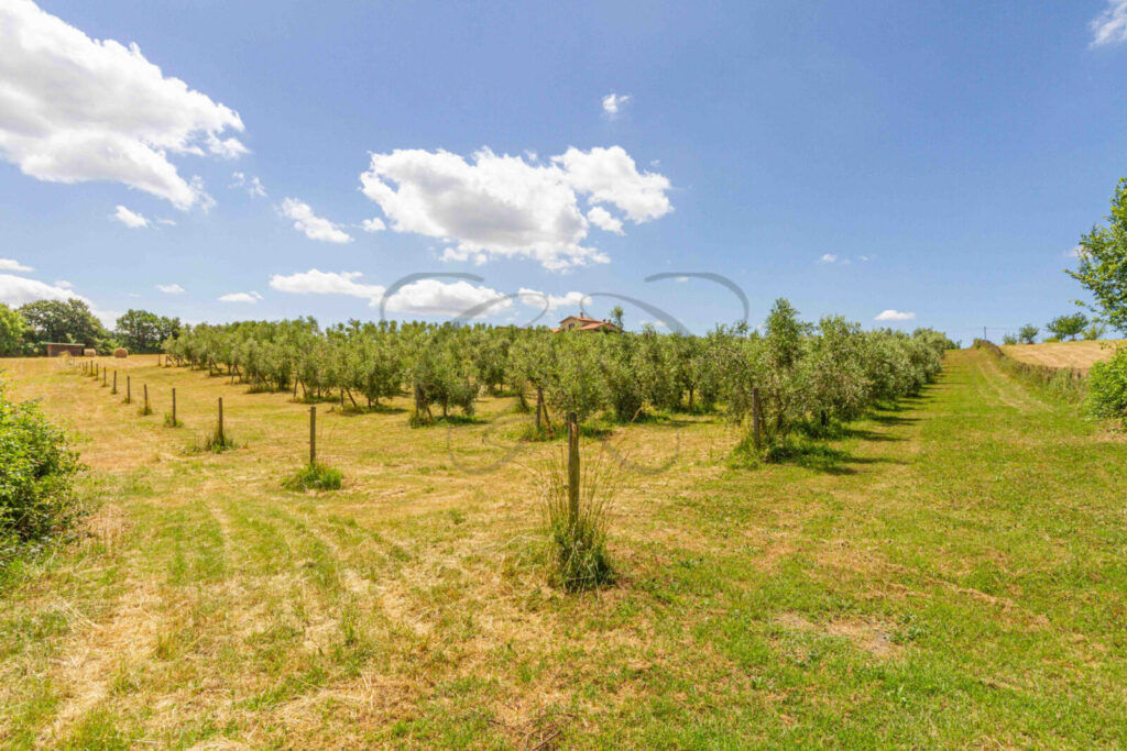 CCHRomaIT's tweet image. 🏰 Eco-Chic Countryside Dream Rome Italy
+39 06 68807642
classcountryhomes.it/en/villas-for-…
#countrysideestate #olivegrove #panoramicviews #lakebracciano #romecountryside #luxuryvilla #sustainableliving #smartbuilding #exclusiveproperty #natureretreat #highlandestate #villaforsaleitaly