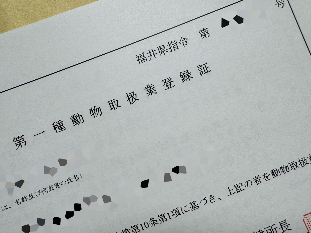 𝐬𝐚𝐲𝐚𝐤𝐚 (@38reptiles__) / Posts / X