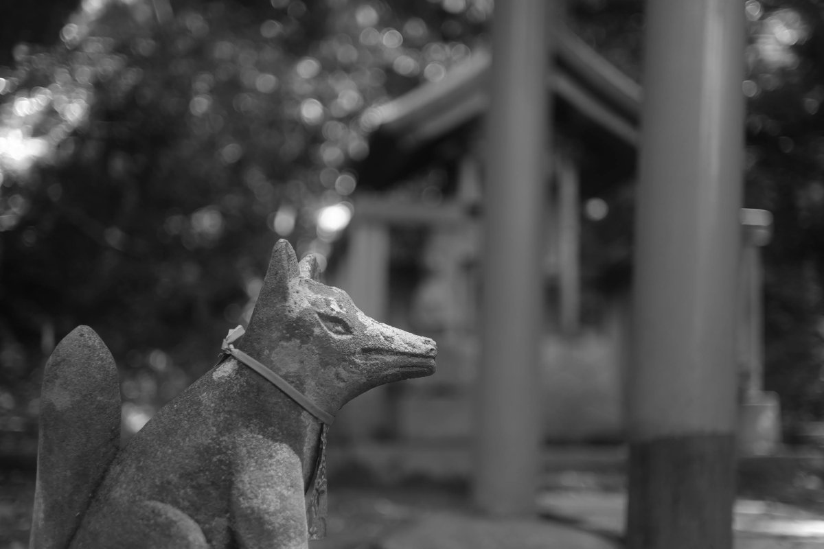 #見た人もなにか無言で狐をあげる