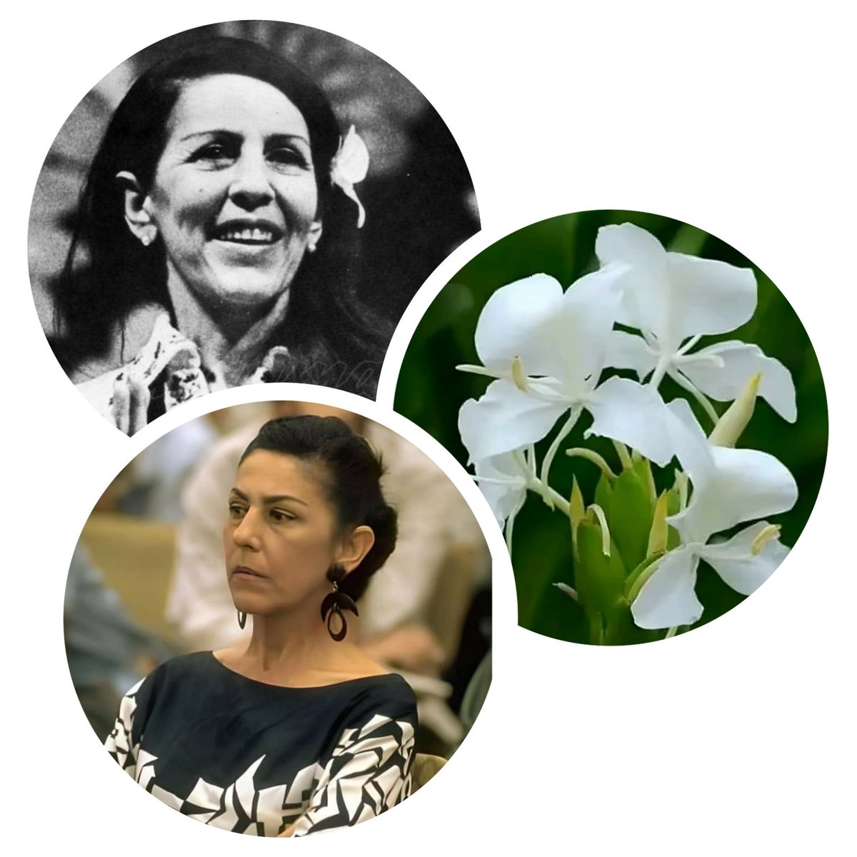 Inés María Chapman Waugh (@inesmchapman) on Twitter photo Buenos días, el 9 de Mayo de 1920 nació Celia Sánchez Manduley, la flor más autóctona de la Revolución Cubana. Nuestro homenaje y el eterno compromiso con la patria amada. #CubaViveEnSuHistoria
#MujeresEnRevolución Buenos días, el 9 de Mayo de 1920 nació Celia Sánchez Manduley, la flor más autóctona de la Revolución Cubana. Nuestro homenaje y el eterno compromiso con la patria amada. #CubaViveEnSuHistoria
#MujeresEnRevolución