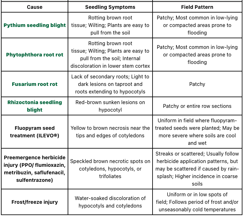 Crop Protection Network (@cropnetwork) on Twitter photo Soybean seedling disease overview from Extension at cropprotectionnetwork.org/publications/a…
<a href="/cropdoc08/">Kiersten Wise</a> <a href="/cropdisease/">Carl Bradley</a> <a href="/BillJohnson53/">Bill Johnson</a> <a href="/TravisLegleiter/">Travis Legleiter</a> @marklicht <a href="/dsmuelle/">Daren Mueller</a> <a href="/MartinChilvers1/">Martin Chilvers</a> <a href="/ISU_IPM/">Iowa State Plant Protection</a> <a href="/AlbertTenuta/">Albert Tenuta</a> <a href="/TNplantDR/">Heather M Kelly</a> +more <a href="/baldpathologist/">Tom Allen</a> <a href="/ncipmc/">North Central IPM Center</a> <a href="/southernipm/">Southern IPM Center</a> <a href="/kmbiss/">Kaitlyn Bissonnette</a> <a href="/maddishires/">Maddi Shires</a> Soybean seedling disease overview from Extension at cropprotectionnetwork.org/publications/a…
<a href="/cropdoc08/">Kiersten Wise</a> <a href="/cropdisease/">Carl Bradley</a> <a href="/BillJohnson53/">Bill Johnson</a> <a href="/TravisLegleiter/">Travis Legleiter</a> @marklicht <a href="/dsmuelle/">Daren Mueller</a> <a href="/MartinChilvers1/">Martin Chilvers</a> <a href="/ISU_IPM/">Iowa State Plant Protection</a> <a href="/AlbertTenuta/">Albert Tenuta</a> <a href="/TNplantDR/">Heather M Kelly</a> +more <a href="/baldpathologist/">Tom Allen</a> <a href="/ncipmc/">North Central IPM Center</a> <a href="/southernipm/">Southern IPM Center</a> <a href="/kmbiss/">Kaitlyn Bissonnette</a> <a href="/maddishires/">Maddi Shires</a>