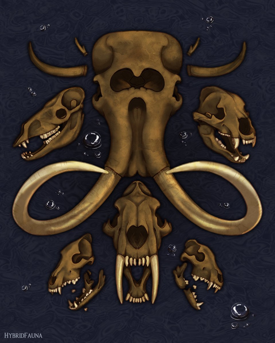 HybridFauna tweet media