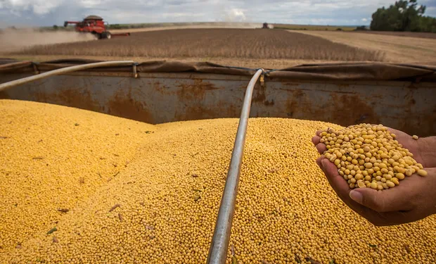 🌱 Sorprenden los rendimientos de la soja y se esperan 50 millones de toneladas
📊 La Bolsa de Cereales de Buenos Aires informó que se cosechó el 45 % de la superficie; el rendimiento promedio es de 32,4 quintales por hectárea. AGROFY NEWS
ℹ️👉 t.ly/3vunK
