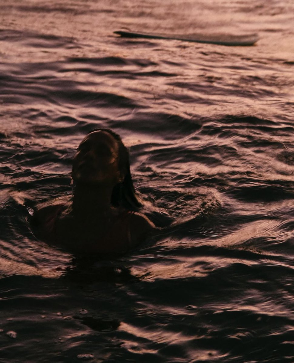 Enfin quelque chose à se mettre sous la dent, nouveau titre d’un de mes «jeunes» groupes slowcore US favoris.
Respirations et les bonnes ondes (pour ceux qui sont encore ici, car c’est un peu désert 😬). ✨✨
Teethe 🎧 Magic of the Sale 
📸 Sergio Villalba
youtu.be/AAbzXe8Prjk?si…