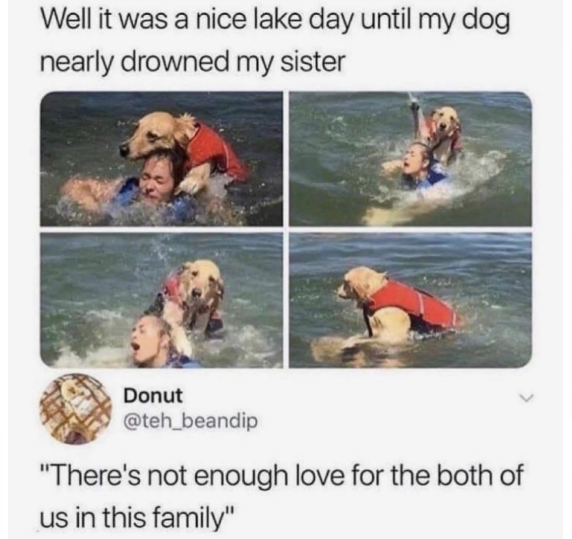 😂