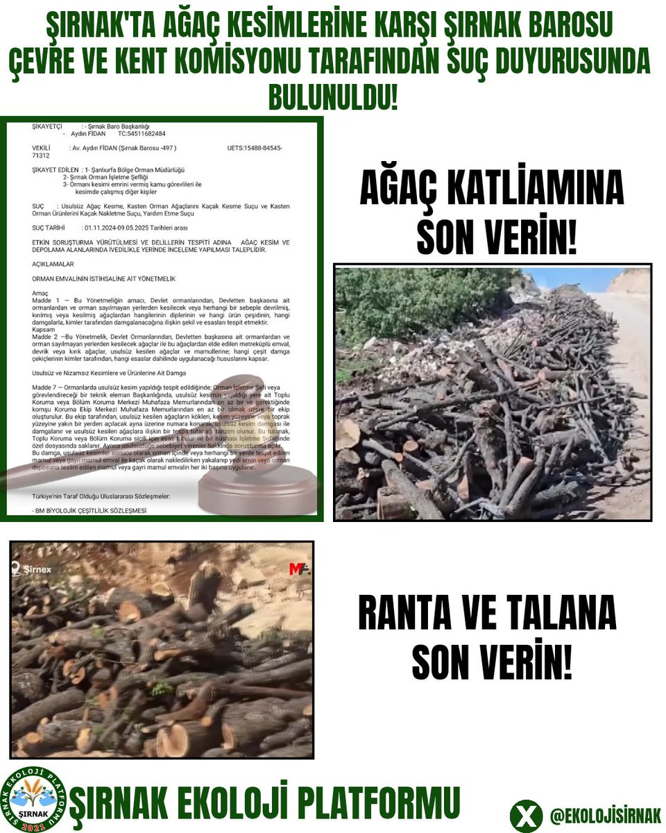 Şırnak Ekoloji (@ekolojisirnak) on Twitter photo Şırnak'ta ağaç kesimleri hız kesmeden devam etmektedir. Gerçekleştirilen ağaç kesimlerine karşı Şırnak Barosu Çevre ve Kent Komisyonu suç duyurusunda bulundu.
Artık sözün bittiği yerdeyiz. Herkesi duyarlılık göstermeye çağırıyoruz.
<a href="/ekolojihareketi/">Mezopotamya Ekoloji Hareketi</a>
<a href="/SirnakBarosu/">Şırnak Barosu - Baroya Şirnexê</a> Şırnak'ta ağaç kesimleri hız kesmeden devam etmektedir. Gerçekleştirilen ağaç kesimlerine karşı Şırnak Barosu Çevre ve Kent Komisyonu suç duyurusunda bulundu.
Artık sözün bittiği yerdeyiz. Herkesi duyarlılık göstermeye çağırıyoruz.
<a href="/ekolojihareketi/">Mezopotamya Ekoloji Hareketi</a>
<a href="/SirnakBarosu/">Şırnak Barosu - Baroya Şirnexê</a>