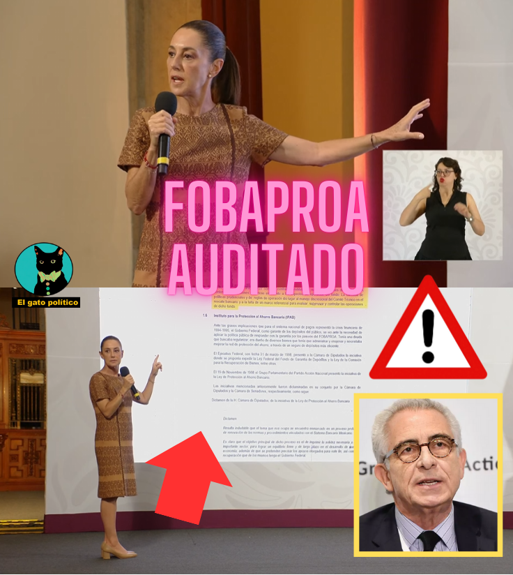 El gato político tweet media