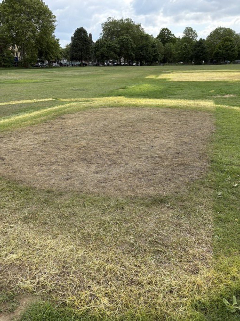 Cllr Lynsey Hedges (@lynseyhedges) on Twitter photo This is the damage left behind on Wandsworth Common after the recent funfair. This is exactly why we must hold the Labour-led Wandsworth Council to account. Say no to large-scale commercial events ā protect our green spaces. š³ššæ<a href="/CEN_HQ/">Conservative Environment Network</a> This is the damage left behind on Wandsworth Common after the recent funfair. This is exactly why we must hold the Labour-led Wandsworth Council to account. Say no to large-scale commercial events ā protect our green spaces. š³ššæ<a href="/CEN_HQ/">Conservative Environment Network</a>