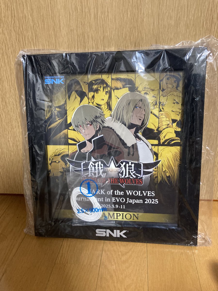 EVOJAPAN 餓狼MOW優勝しました
楽しかった嬉しかった疲れた