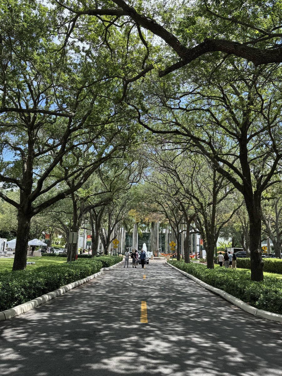 RJY91's tweet image. Beautiful UMiami 🌴