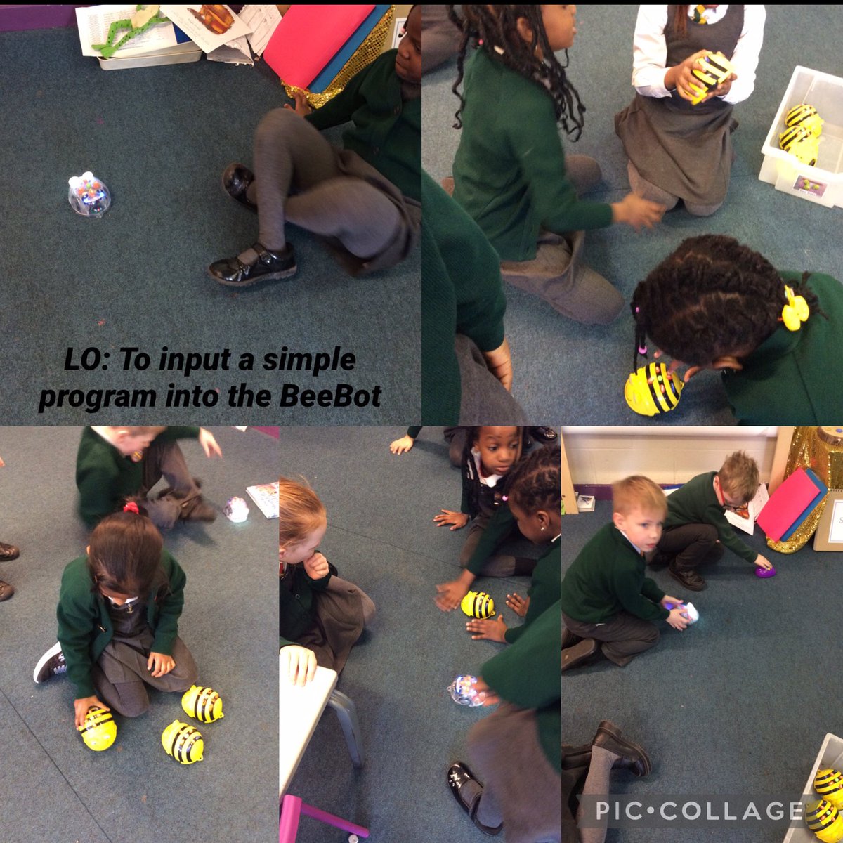 Year 1 have really enjoyed our coding, robotics and programming topic in Computing! We used the BeeBots to input simple instructions. <a href="/StMargarets_/">St Margaret's Anfield CE Primary</a> #SMAcomputing