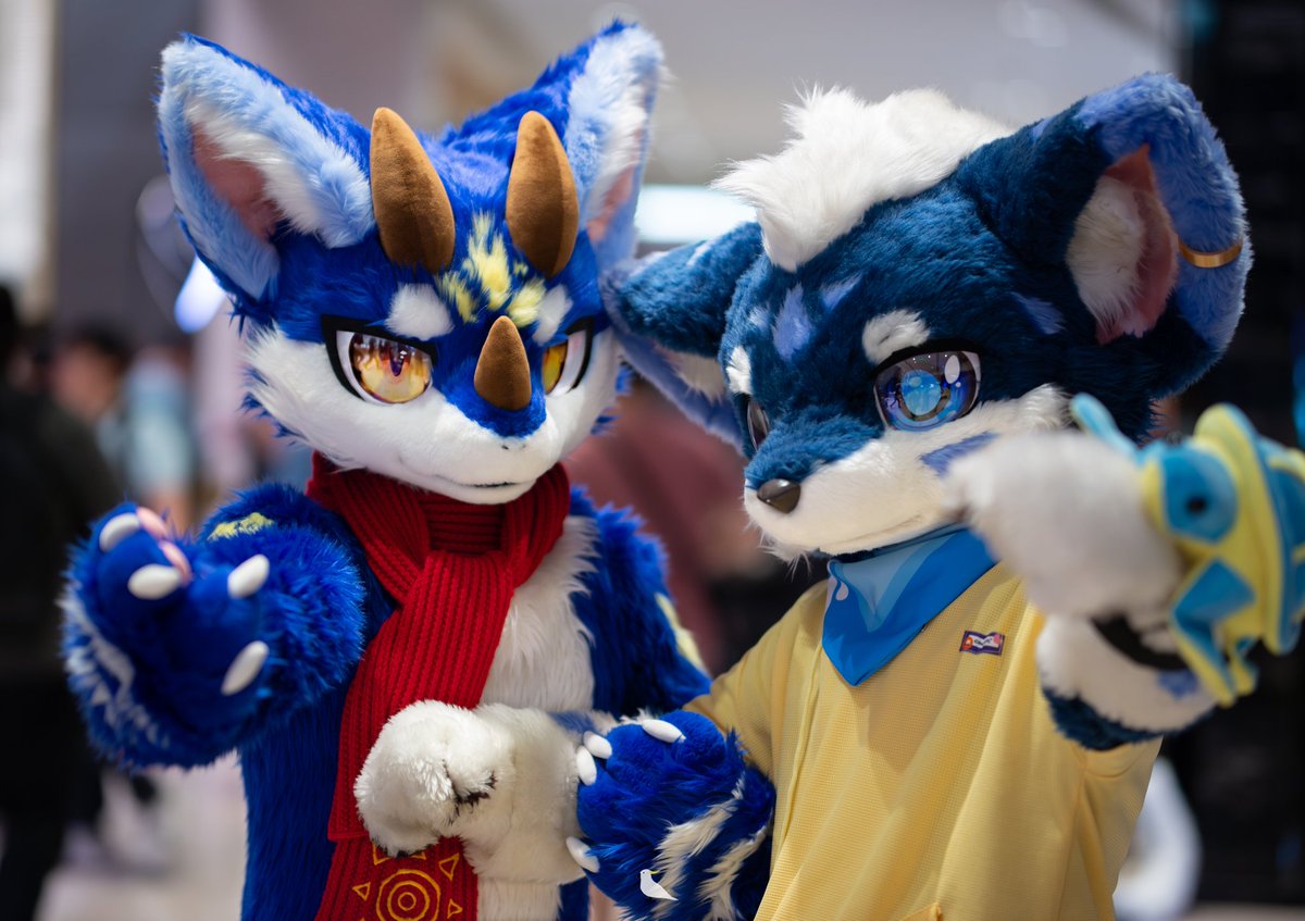 #FursuitFriday
Boy,you are a cute little puppy（？？？）
🦊：<a href="/xianyunyanba/">贤云</a> 
📷：@盔盔葵