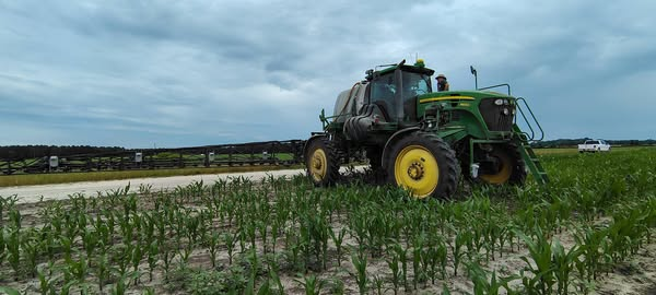 Fernando Oreja tweet media