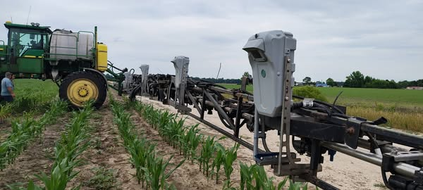 Evaluando la tecnología de <a href="/deepagroco/">DeepAgro</a> en Bishopville, Carolina del Sur. Su sistema inteligente, detecta las malezas y aplica herbicidas de forma selectiva dentro del cultivo de maíz. Los resultados preliminares son muy interesantes, mostrando altos porcentajes de detección.