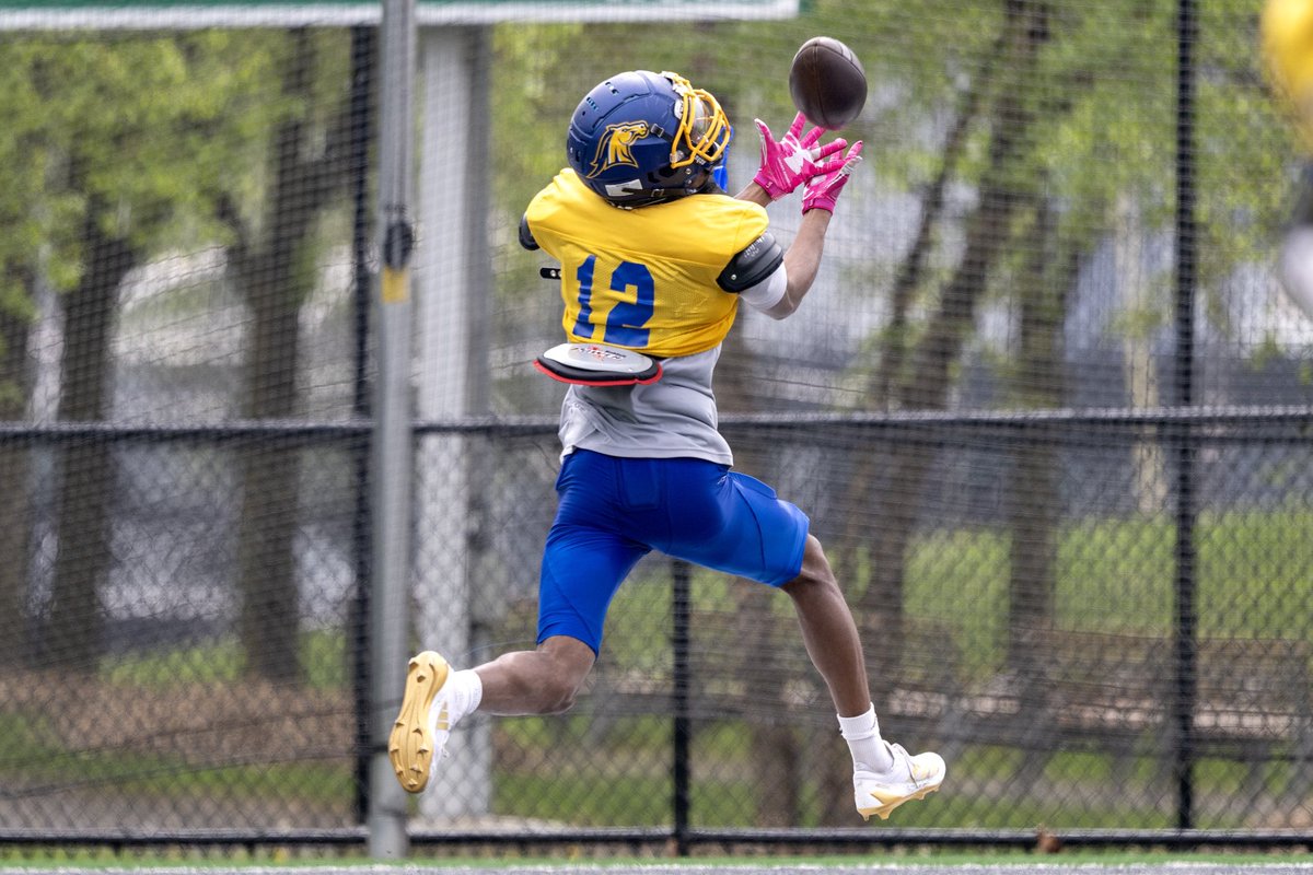 e1pluto_'s tweet image. spring ballin 😎