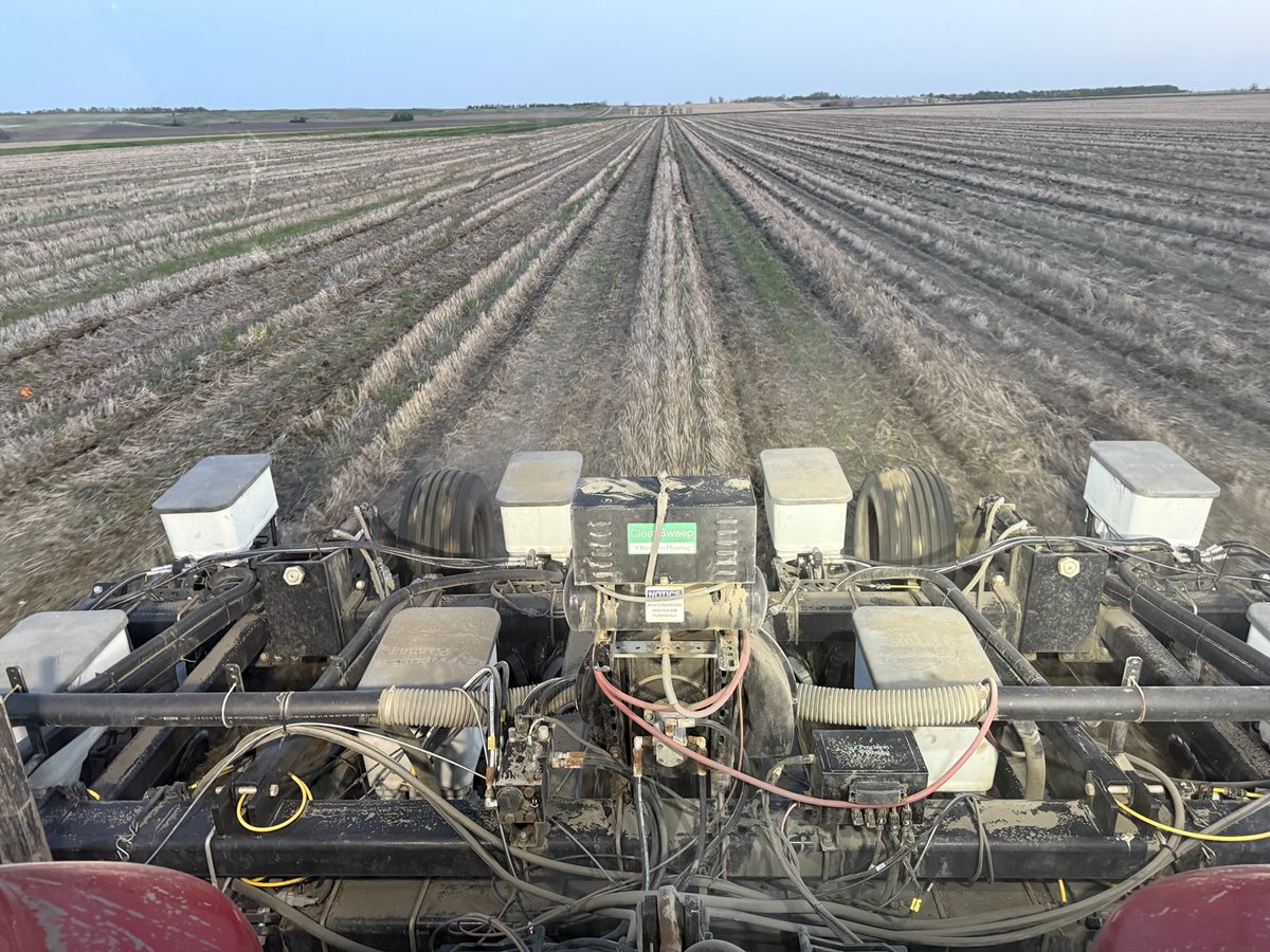 JoeBreker's tweet photo. It’s even a go for #pairrow60” corn in heavy rye stubble. Didn’t get my #biostriptill done last fall, miss my faba bean strips. https://t.co/JsiqaznJ5y