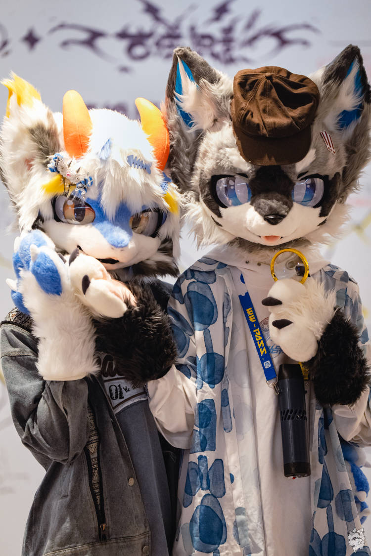 小侦探和他的小帮手
with  <a href="/Hibiya113/">响也xiangye</a>

#furry #fursuit #FursuitFriday