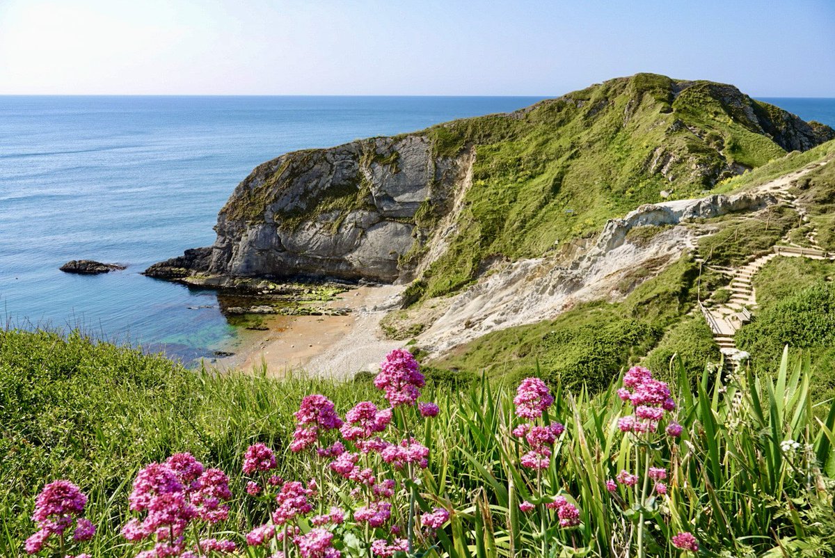 LesleyCashell's tweet image. Man O’war beach @BBCSouthWeather @StormHour @ThePhotoHour @DorsetMag @visit_dorset @DorsetMag @BBCDorset @goDorset @dorsetlandscape @lovefordorset