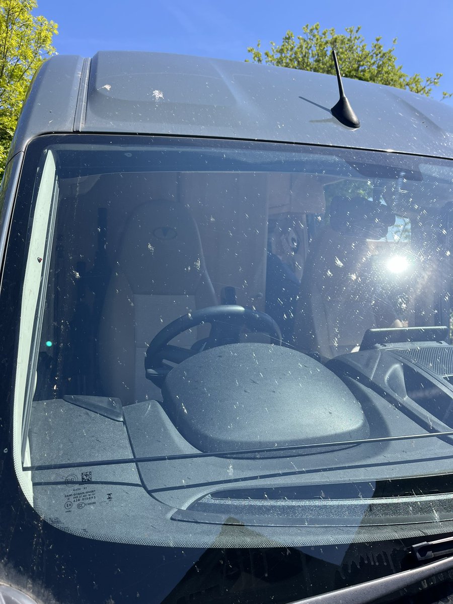 Where have all your Swallows gone ?? This windscreen covered in splatted insects after driving North through pastured fields gives a clue. Drive south through pesticide cleared arable fields hardly any insects The Swallows there have nothing to eat Year on year the countryside