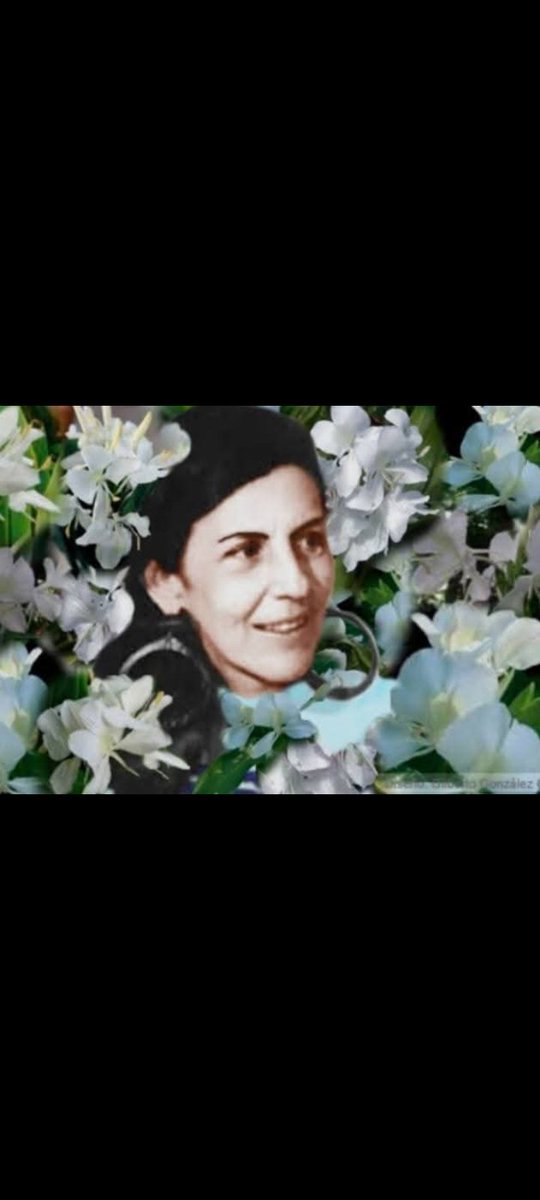 Celia vive , nació una Flor 🪷 
#CeliaVive 
<a href="/cubacooperaven/">Brigada Médica Cubana en Venezuela</a> 
<a href="/japortalmiranda/">José Angel Portal Miranda</a> 
<a href="/MMarreroCruz/">Manuel Marrero Cruz</a> 
<a href="/PresidenciaCuba/">Presidencia Cuba 🇨🇺</a> 
<a href="/Ruslan11235813/">Jefe de Estado Distrito Capital</a> 
<a href="/DrYusleivy/">Dr. Yusleivy Martínez</a> 
<a href="/CdiZonaF/">Cdi Omar Diaz Sifontes (Zona F)</a> 
<a href="/DCMedicaDistrit/">Brigada Médica Cubana Distrito Capital</a>