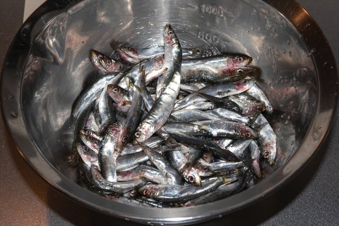 小いわしが投げ売られていたので購入
全部素揚げにしてしまった

これもうちょいちゃんとやったら
さらにうまかろうなあと思いつつ 平らげる 