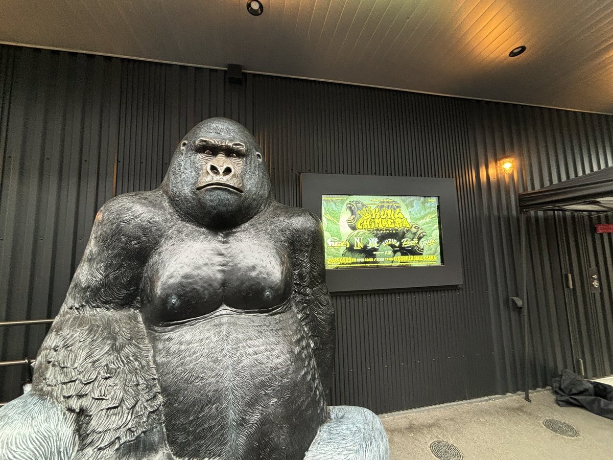 kato07110627's tweet photo. ゴリラホール🦍
Kjの笑顔が最高過ぎた😭

共鳴夜光スタートのドキドキ感がたまらない🎶

初ゴリラ
音響と照明、空間も良しでした👍

#TheRavens https://t.co/2c2fXMynZX