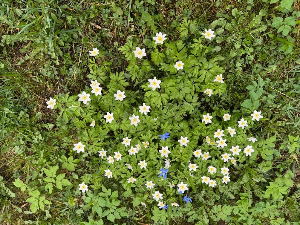Ihanaa äitienpäivää kaikille äideille!