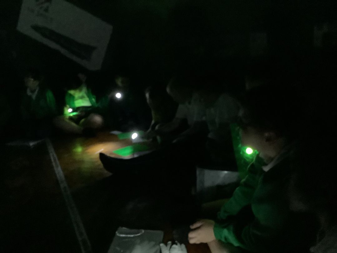 @CaldiY5 (@caldiy5) on Twitter photo We really enjoyed our planetarium visit from the life centre! We successfully completed our mission to land on the moon!
<a href="/CaldiPrimary/">Caldicotes Primary</a> <a href="/LiftSchools/">Lift Schools</a> <a href="/CNicholson_Edu/">Craig Nicholson</a> <a href="/mrsrmurad/">ruth murad</a> <a href="/PhilHumph36403/">Phil Humphreys</a> <a href="/vianclark/">Rebecca Boomer-Clark</a> <a href="/MbroCouncil/">MiddlesbroughCouncil</a> <a href="/AndyMcDonaldMP/">Andy McDonald MP for Middlesbrough & Thornaby East</a> <a href="/centre_right_/">Andy Preston</a> We really enjoyed our planetarium visit from the life centre! We successfully completed our mission to land on the moon!
<a href="/CaldiPrimary/">Caldicotes Primary</a> <a href="/LiftSchools/">Lift Schools</a> <a href="/CNicholson_Edu/">Craig Nicholson</a> <a href="/mrsrmurad/">ruth murad</a> <a href="/PhilHumph36403/">Phil Humphreys</a> <a href="/vianclark/">Rebecca Boomer-Clark</a> <a href="/MbroCouncil/">MiddlesbroughCouncil</a> <a href="/AndyMcDonaldMP/">Andy McDonald MP for Middlesbrough & Thornaby East</a> <a href="/centre_right_/">Andy Preston</a>