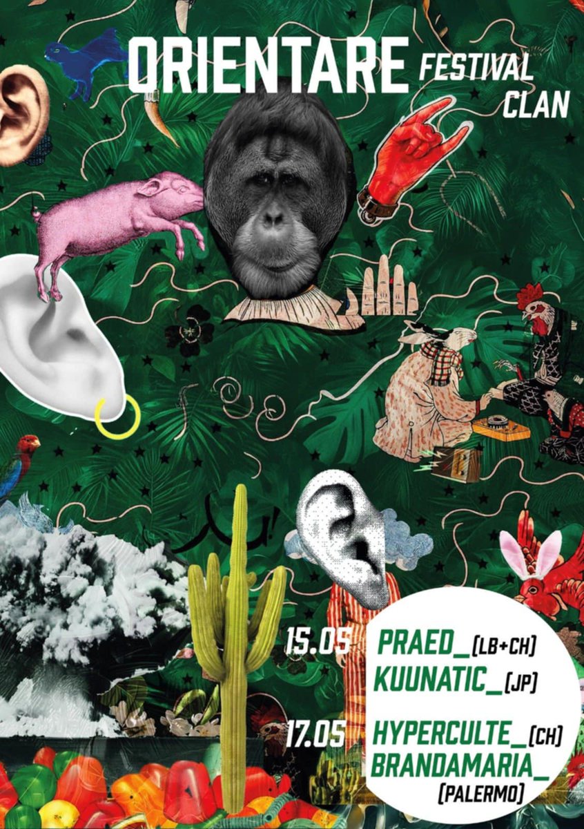 PRAED پرائد tweet media