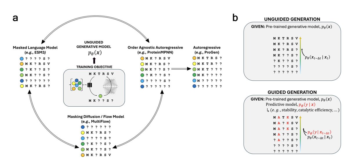 Guide your favorite protein sequence generative model

１．This paper introduces ProteinGuide, a general framework for conditioning pre-trained protein generative models—like ProteinMPNN and ESM3—on arbitrary user-defined properties, without retraining the models.