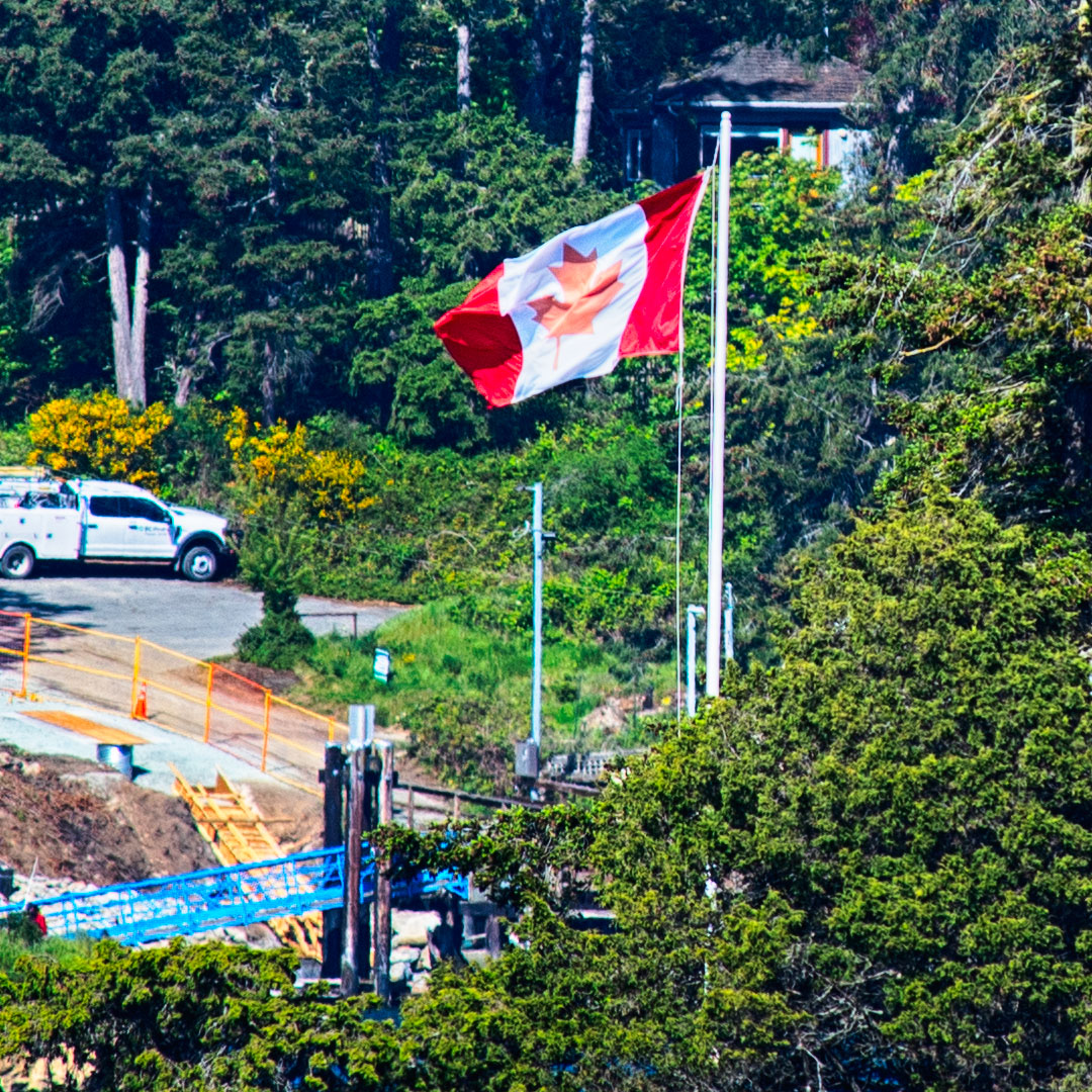 🇨🇦 True North Strong and Free 🇨🇦 #canada #elbowsup #madeincanada #buycanadian #flagaday