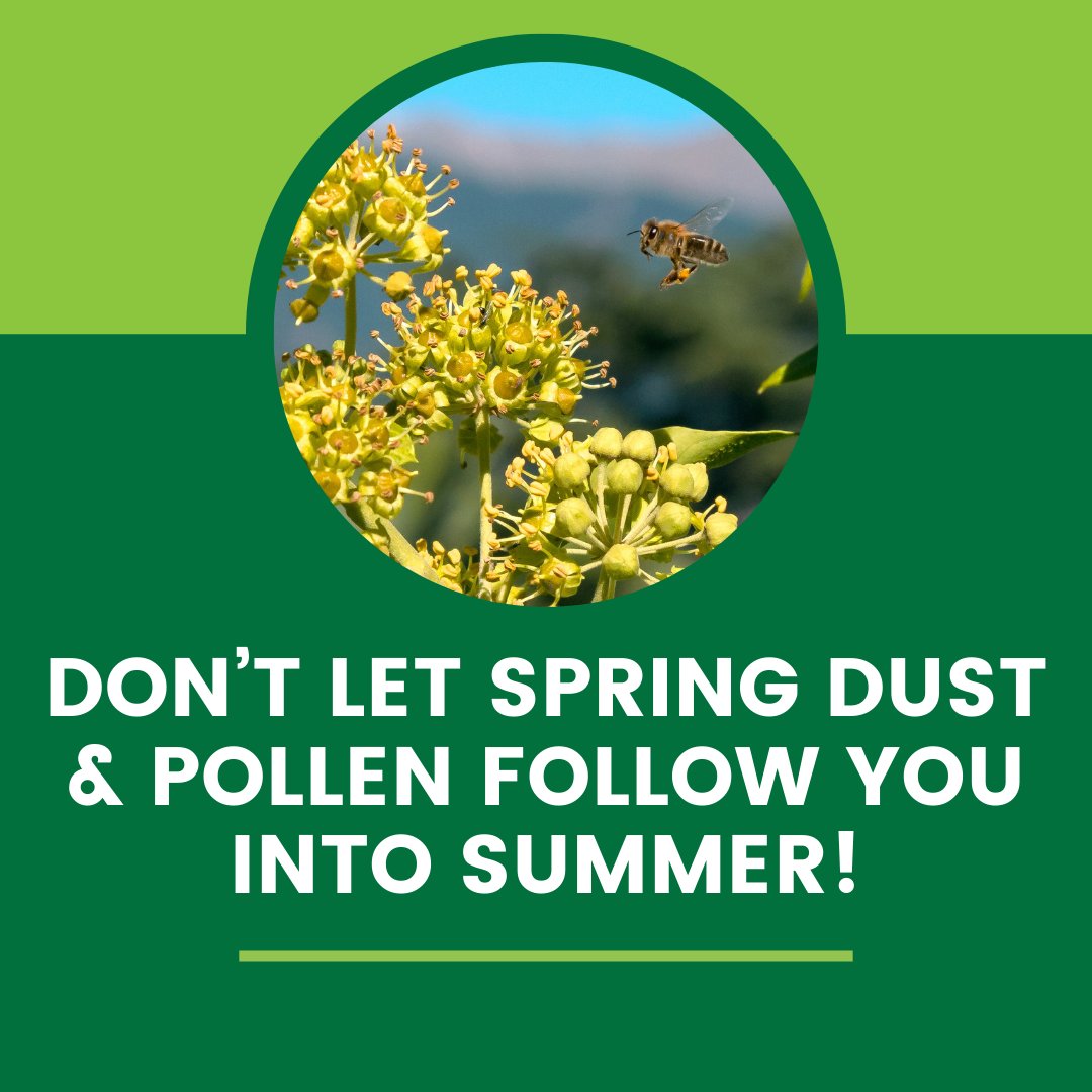 ecocarpetclean's tweet photo. Pollen season may be winding down, but don’t let it stick around! 

Keep your floors fresh and allergen-free with professional cleaning from ECO Interior Maintenance. Book now at https://t.co/6zOugid7KO!

#PollenFree #SpringCleaning #FloorCare #ECOInteriorMaintenance https://t.co/KZZzndjad8