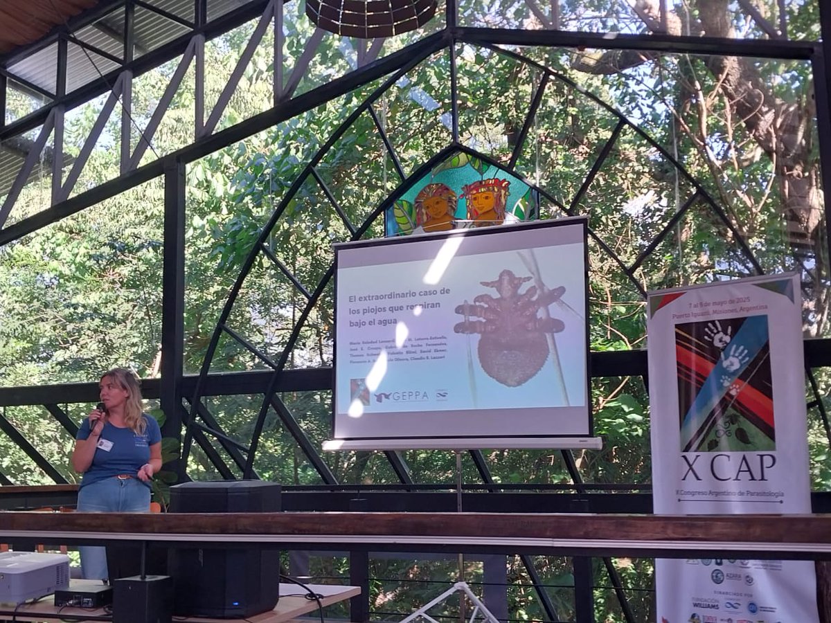 Ayer di una charla en el Congreso Argentino de Parasitología rodeada de selva y completamente afónica... no recomiendo enfermarse en congresos 🤒
#XCAPIguazú