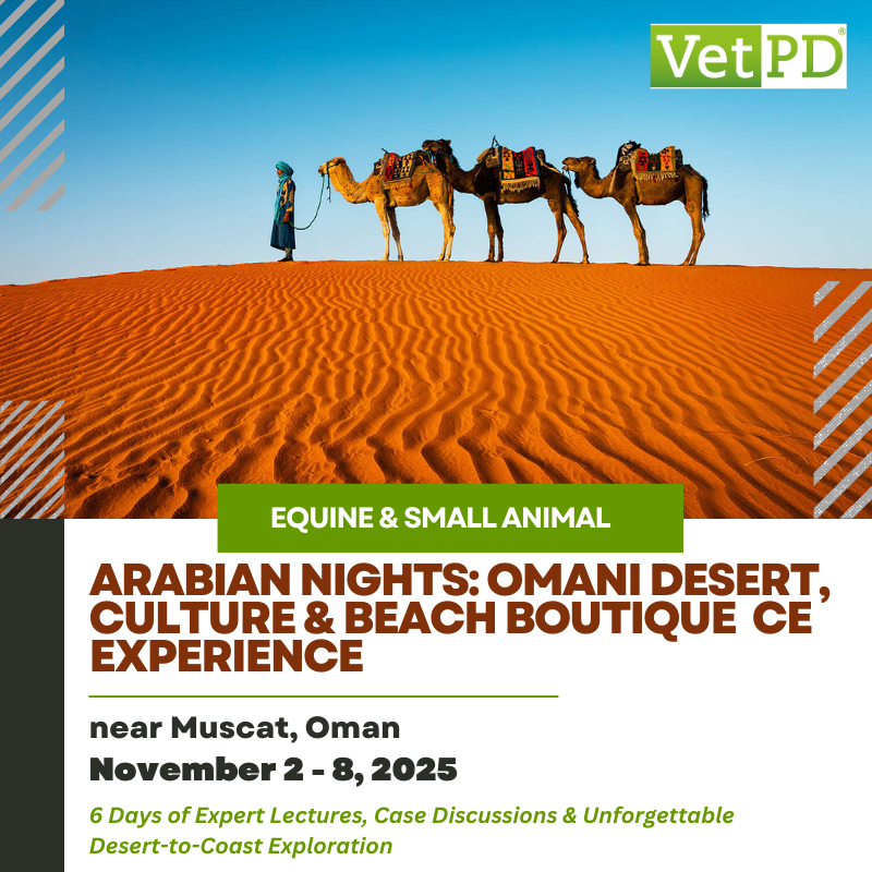 Reminder to book early for our incredible VetPD Destination Event: Arabian Nights – Omani Desert, Culture &amp; Beach Boutique CE Experience! 
loom.ly/pIgwO14

#equinevet #equineveterinarian #horsevet #veterinaryCE #veterinarycontinuingeducation #vetce