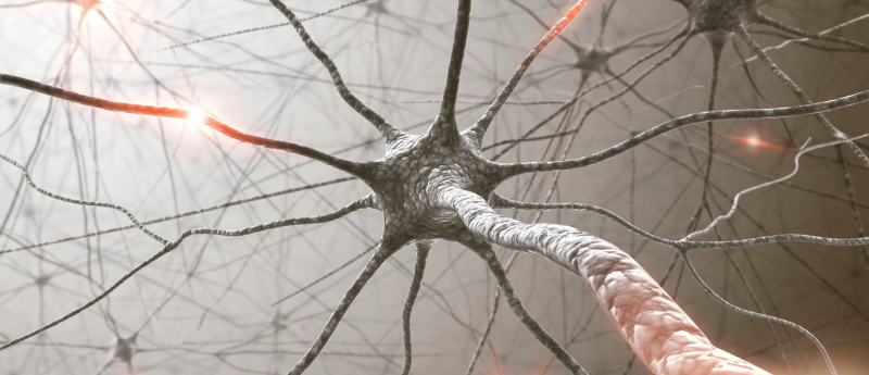 Researchers from <a href="/UBuffalo/">UBuffalo</a> have found potential drug targets for Huntington’s disease: a protein that mitigates Huntington's and one that exacerbates it hubs.ly/Q03lnDDv0