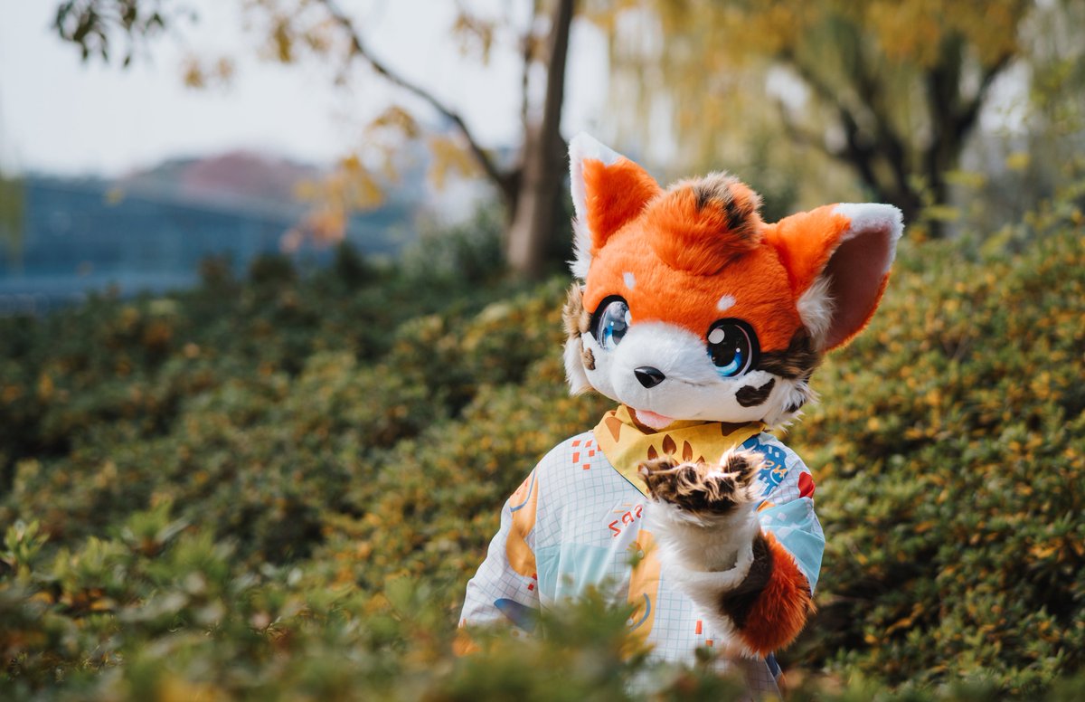 #FursuitFriday
美丽的公主殿下欢迎你来到我的花园

📸 <a href="/waitzz_/">yuer.🍃</a> 感谢拍摄~
