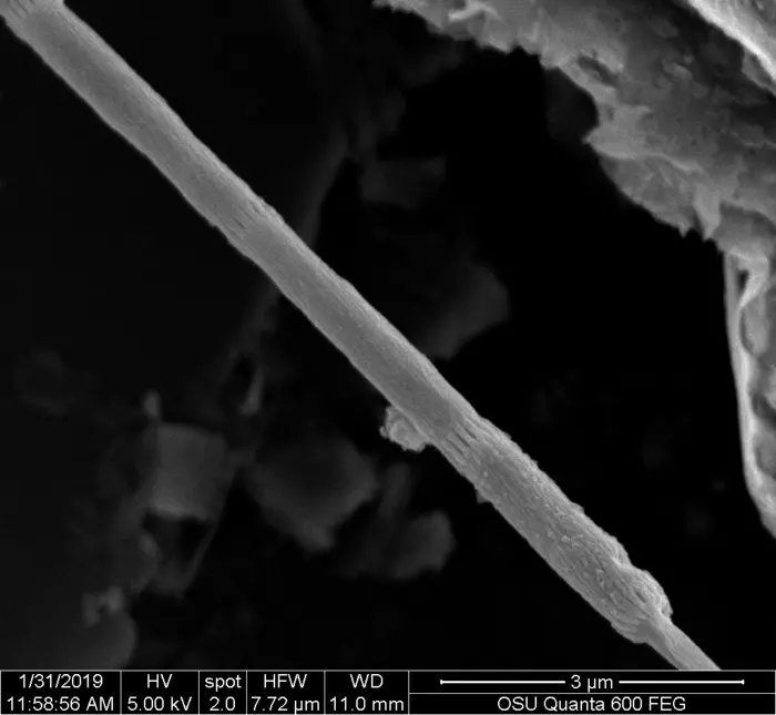 Chris Hadfield (@cmdr_hadfield) on Twitter photo Bacteria that conduct electricity to live buried in sediment. Very cool discovery. I wonder if this type of life exists on Mars too?
read: bioengineer.org/scientists-dis⦠<a href="/OregonState/">Oregon State University</a> Bacteria that conduct electricity to live buried in sediment. Very cool discovery. I wonder if this type of life exists on Mars too?
read: bioengineer.org/scientists-dis⦠<a href="/OregonState/">Oregon State University</a>